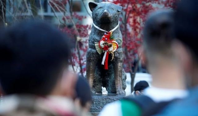 Χάτσικο, 100 χρόνια από τη γέννηση του πιο πιστού σκύλου στον κόσμο – Η ιστορία του έγινε ταινία