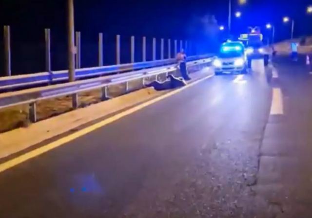 Κοζάνη: Αρκούδα συγκρούστηκε με αυτοκίνητο στην Εγνατία Οδό