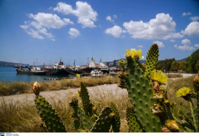 Ελευσίνα: Ανθυποπλοίαρχος σε τάνκερ σκοτώθηκε μετά από έκρηξη πυροσβεστήρα