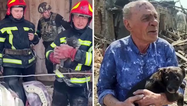 Η συγκινητική στιγμή που πυροσβέστες σώζουν κουτάβι από ερείπια σπιτιού στο Ντονέτσκ