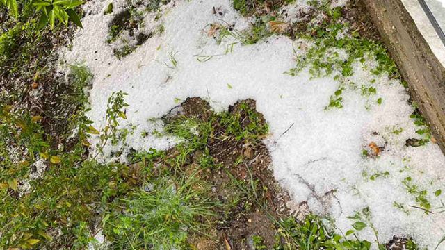 Καταιγίδα με χαλαζόπτωση στην Πελασγία - Δείτε εικόνες