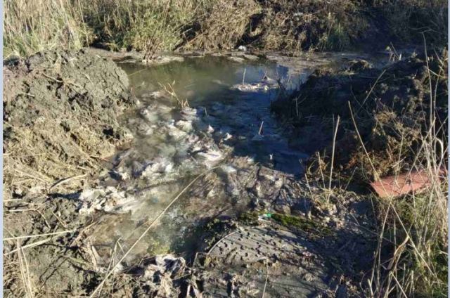 Γιατί «μοσχοβόλησε» ο Δομοκός (ΒΙΝΤΕΟ-ΦΩΤΟ)