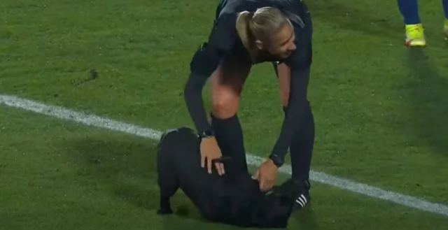 Γλυκιά εισβολή: Σκύλος «μπούκαρε» σε αγώνα ποδοσφαίρου και ζητούσε χάδια (ΒΙΝΤΕΟ)