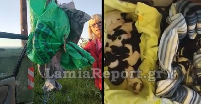 Πέταξαν 13 νεογέννητα κουταβάκια στα σκουπίδια - ΒΙΝΤΕΟ