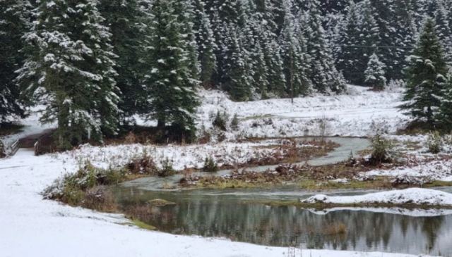 Φωτογραφίες από το χιονισμένο Περτούλι Τρικάλων