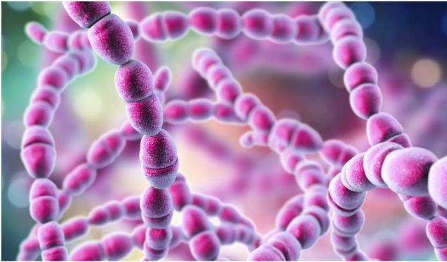 Τι να προσέχουν οι γονείς για τον στρεπτόκοκκο - Ειδικοί απαντούν για τη διάγνωση και τα strep test