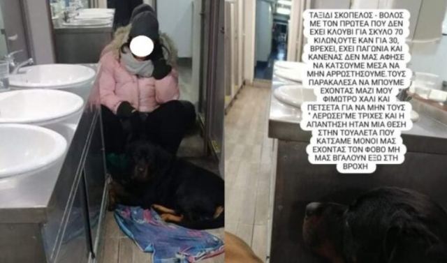 Ταξίδεψε πέντε ώρες στην τουαλέτα του πλοίου λόγω… σκύλου!