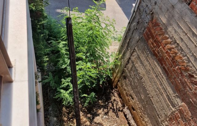 Παράπονα για έλλειψη υπευθυνότητας από την υπηρεσία πρασίνου του δήμου Λαμιέων