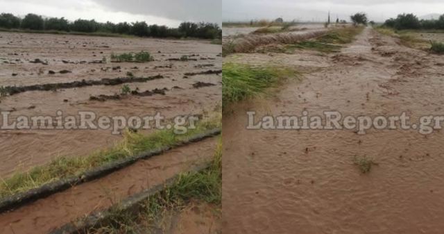 Καταστράφηκαν οι καλλιέργειες στον κάμπο της Λαμίας (ΒΙΝΤΕΟ-ΦΩΤΟ)