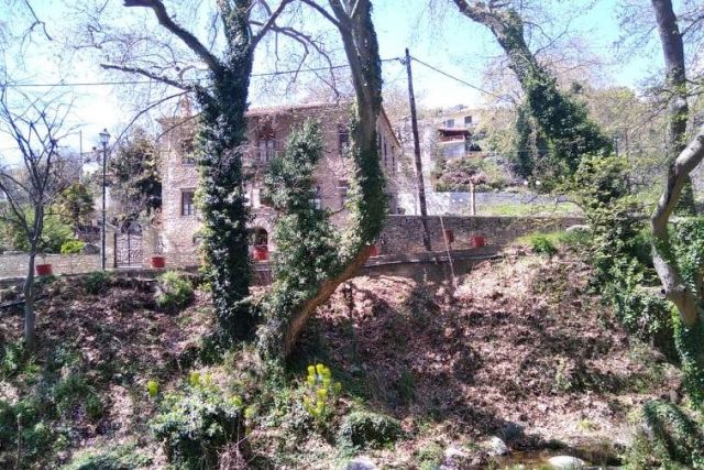 Βόλτα στο διαχρονικά γοητευτικό Μεταξοχώρι Αγιάς… (φωτ. & βίντεο)