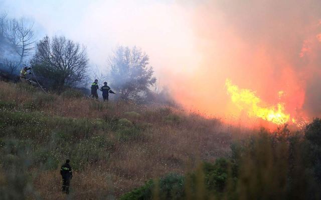Πυρκαγιά από κεραυνό στον Εθνικό Δρυμό της Οίτης