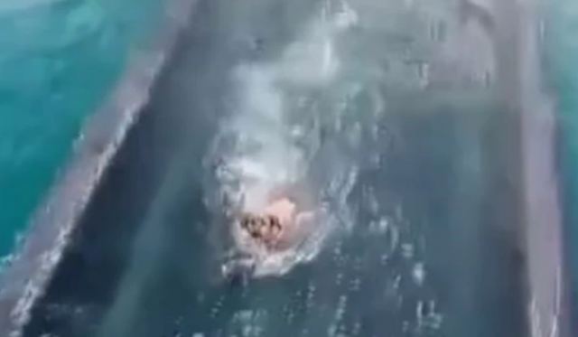 Συγκλονιστικό βίντεο: Σκυλάκι προσπαθεί να σωθεί καθώς κατεβαίνει η βυθιζόμενη γέφυρα στον Ισθμό της Κορίνθου