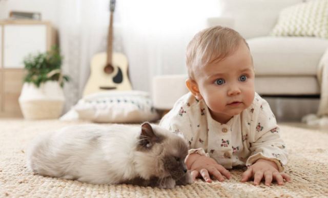 Γάτες σε ρόλο babysitter - Τα στιγμιότυπα που έχουν γίνει viral (vid)