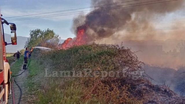 Έτρεχε η Πυροσβεστική για πυρκαγιές σε Λαμία, Αταλάντη και Σπερχειάδα (ΒΙΝΤΕΟ)