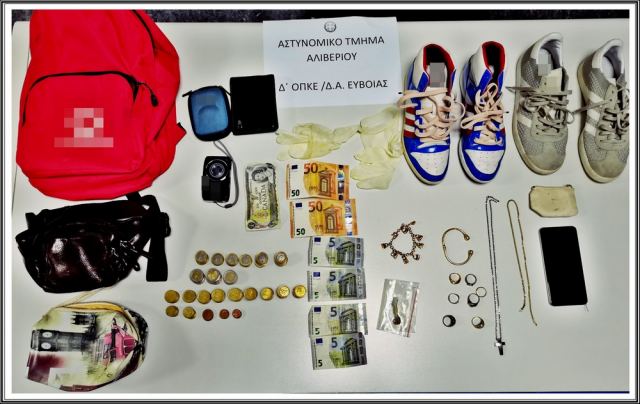 Στη φυλακή αλλοδαπός που είχε ρημάξει τα σπίτια σε Φθιώτιδα, Εύβοια και Βοιωτία