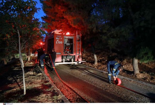 Στη φυλακή ο Τούρκος που συνελήφθη για εμπρησμούς στην περιφερειακή Αιγάλεω