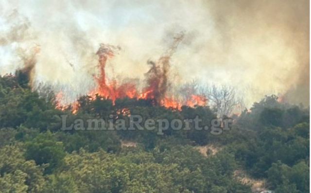 Δύο φωτιές στην Εύβοια το πρωί του Σαββάτου