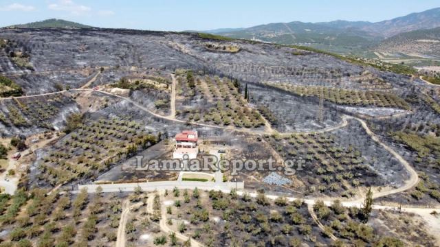 Φθιώτιδα: Πως θα αποζημιωθείτε για τις ζημιές από τις πυρκαγιές
