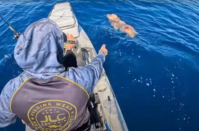 Διάσωση σκύλου στα ανοιχτά της Πάρου