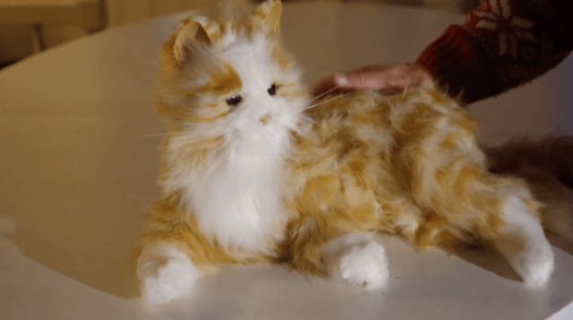 Σουηδία: Γάτες ρομπότ κάνουν παρέα στους ηλικιωμένους